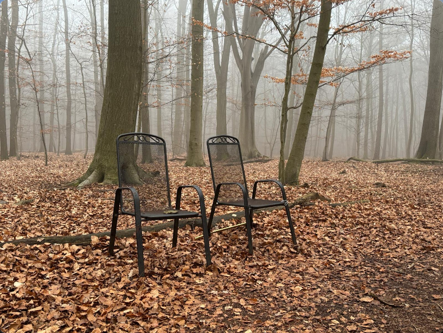 Steg am See